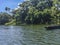 Tropical forest at Granada`s Islands, Granada