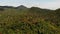 Tropical forest on island. Fantastic drone view of green jungle on mountain ridge of amazing tropical island. Exotic