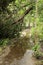 Tropical forest in the island of Koh Rong