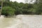 Tropical forest in the island of Koh Rong in Cambodia