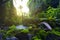 Tropical forest in the jungle natural waterwall