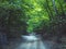 Tropical forest on the mountain road path dirt