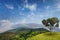 Tropical forest on mountains in summer