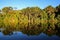 Tropical forest on the Sandoval lake. Tambopata, Peru