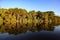 Tropical forest on the Sandoval lake. Tambopata, Peru