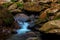 Tropical forest with stream waterfall