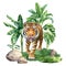 Tropical forest and tiger. Watercolor Palm trees, jungle hand painted illustration