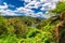 Tropical forest of Waimangu Volcanic Valley and Frying Pan lake on a sunny day, New Zealand