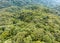 Tropical forests can absorb large amounts of carbon dioxide from the atmosphere