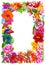 Tropical Frame, Certificate or Diploma of completion. Flower design template