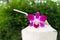 Tropical fresh coconut cocktail decorated purple orchid