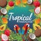 Tropical friuts and macow bird and sunset beach vibe