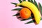 Tropical fruit, a banana and an orange, laying on a silk palm frond with a colorful background