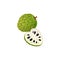 Tropical fruit cherimoya or custard apple isolated