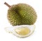 Tropical fruit - Durian