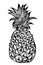 Tropical fruit pineapple.