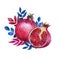 A tropical fruit ripe pomegranate. A whole fruit and half with grains, leaves and flowers. Watercolour fruit elements for your des