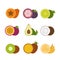 Tropical fruits icon set. Flat style, vector illustration.