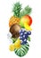 Tropical fruits on isolated white background, watercolor pineapple, mango, coconut and grape. Summer card, clipart