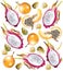 Tropical fruits pattern Vector realistic. Dragon fruit,