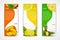 Tropical fruits vertical banner set