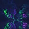 Tropical Futuristic Sci-Fi Garden, Party Club dance Mood, Retro Feeling With Neon Tube Lights Trough Palm Tees, Beach, Generative