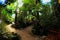 Tropical Garden conservatory interior