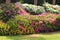 Tropical garden flower fence