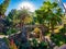 Tropical garden of Garachico village in Tenerife