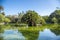 Tropical garden, lake and palm tree in Barcelona, Spain.