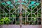 Tropical garden locked under rustic metallic gate. Exotic orchid greenhouse. Secret garden part in tropical park