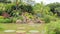 Tropical garden with pond, waterfall, Victoria Regia and palms