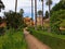 A tropical garden in sevillian Alcazar