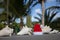 Tropical garden surrounded with grey fence and big seashells and Christmas hat on it. Selective focus.