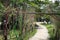 Tropical garden view with walking path and decorative trees. Tropical park decor. Colorful tree branch alley