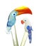 Tropical glass birds swizzle sticks