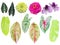 The tropical green and colorful leaves isolated in white background, blooming pink, purple and yellow flowers with clipping path.