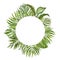 Tropical green foliage round frame for cards, banners. Watercolor summer exotic plants and leaves border on white background