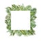 Tropical green foliage square frame for cards, banners. Watercolor summer exotic plants and leaves border on white background