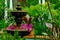 Tropical green garden with fontain. Botany garden with various plants and flowers in soft focus. Exotic yard.