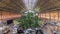 Tropical green house timelapse, location in 19th century Atocha Railway Station in Madrid, Spain.