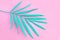 Tropical green palm leaf on pink background. Fashion minimal pop art style.