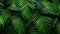 Tropical green palm leaves with fresh raindrops, vibrant nature background, high detail and texture