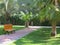 Tropical green park with palms and bench