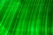 Tropical greenery botanical background. Macro surface of palm leaf with striped rippled pattern.Emerald green color. Backdrop
