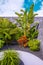 Tropical greenery on the street. Plant aesthetic wallpapers. Travel canary island