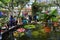 Tropical greenhouse butterfly exhibition with people watching