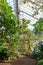 Tropical greenhouse with evergreen flowering plants, twisting trees on sunny day