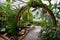 Tropical Greenhouse Oasis with Archway Pathway, Eye-Level View