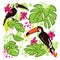 Tropical hand draw vector collection with monstera leaves, parrots - toucans, pink tropic flowers, mixed with paint